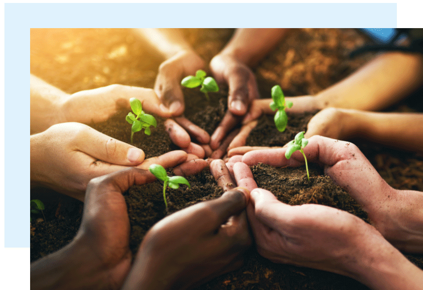 Sustainable Growth